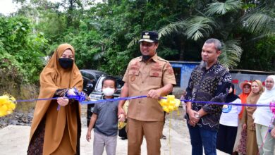 Gubernur Resmikan Embung Agrowisata Pallae, Aliri Persawahan Warga Sekaligus Lokasi Wisata