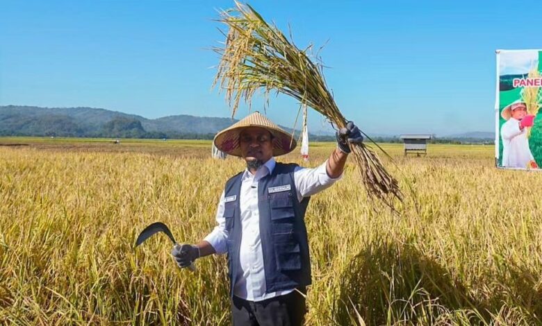 Bersama Petani, Gubernur Andi Sudirman Panen dan Tanam Mandiri Benih Padi di Maros