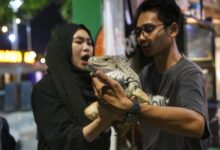 Makassar F8 Sajikan Pengalaman Belajar tentang Fauna yang Menginspirasi