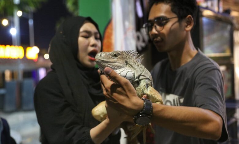 Makassar F8 Sajikan Pengalaman Belajar tentang Fauna yang Menginspirasi