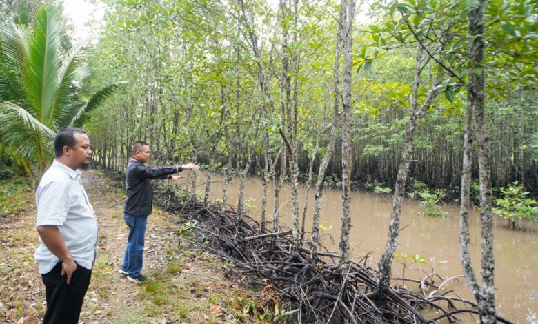Gubernur Andi Sudirman Sulaiman Sharing Terkait Corbon Trading di Kepulauan Riau