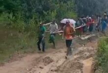 Seorang nenek bernama Ne Limbong (80), di Kabupaten Tana Toraja, Sulawesi Selatan, harus ditandu sejauh 8 Kilometer untuk mendapatkan fasilitas kesehatan (Rumah Sakit)