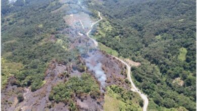 Kebakaran lahan seluas 21,4 hektare, tepatnya di Desa Taripa, Kecamatan Pamona Timur, Kabupaten Poso, Sulawesi Tengah (Sulteng).