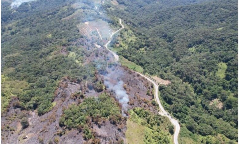 Kebakaran lahan seluas 21,4 hektare, tepatnya di Desa Taripa, Kecamatan Pamona Timur, Kabupaten Poso, Sulawesi Tengah (Sulteng).