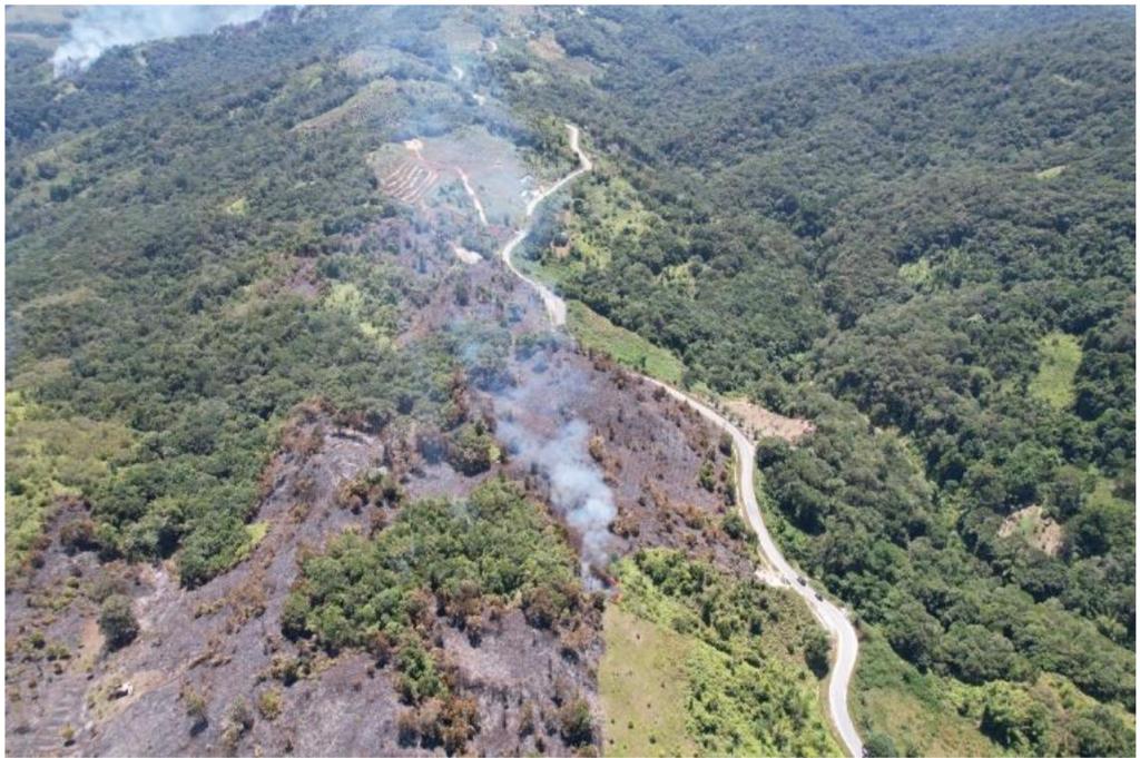 Kebakaran lahan seluas 21,4 hektare, tepatnya di Desa Taripa, Kecamatan Pamona Timur, Kabupaten Poso, Sulawesi Tengah (Sulteng).