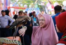 Damkar Kota Makassar Pamerkan Satwa Liar Burung Elang dan Buaya Hasil Evakuasi