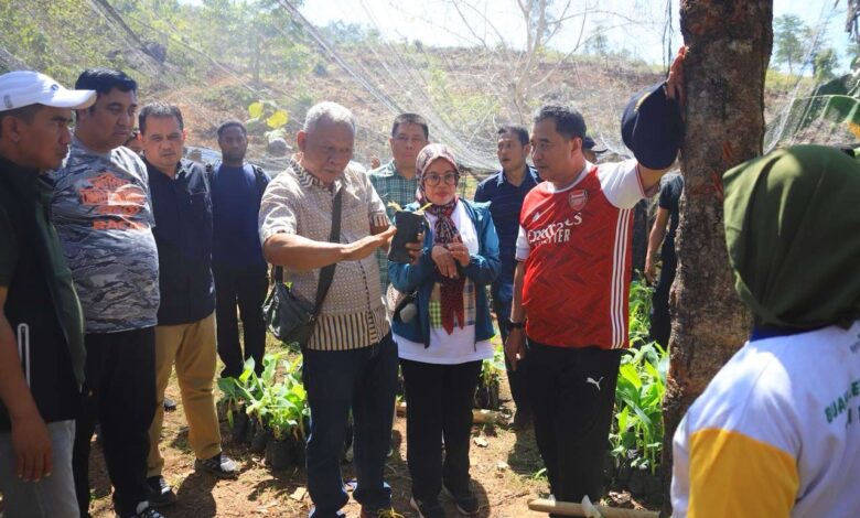 Pj Gubernur Bahtiar Tinjau Perkebunan di Desa Swasembada Toddopulia, Dorong Gerakan Gemar Menanam Pisang