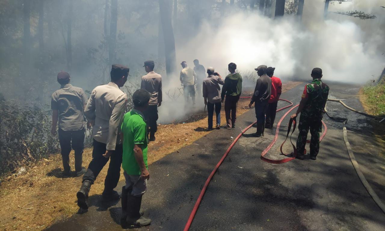 Jajaran Pemkab Gowa Gerak Cepat Lakukan Pemadaman Kebakaran Hutan di Malino