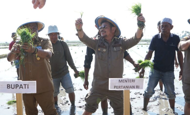 Mentan SYL Kick Off Gernas Antisipasi Dampak El Nino di Bone