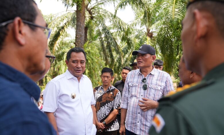 Pj Gubernur Bahtiar Produktifkan Lahan Milik PTPN XIV untuk Ditanami Pisang