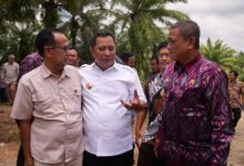 Targetkan 200 Juta Pohon Setahun, Sulsel Bakal Dikenal Provinsi Penghasil Pisang Terbesar di Indonesia