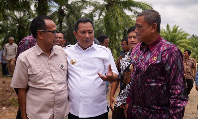 Targetkan 200 Juta Pohon Setahun, Sulsel Bakal Dikenal Provinsi Penghasil Pisang Terbesar di Indonesia