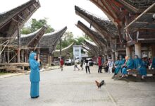 Sofha Marwah Kagumi Keindahan Toraja