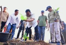 Budidaya Pisang di Lahan 1 Juta Hektare, Pj Gubernur Sulsel Undang Presiden Jokowi Panen di Bulan Maret 2024