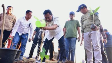 Budidaya Pisang di Lahan 1 Juta Hektare, Pj Gubernur Sulsel Undang Presiden Jokowi Panen di Bulan Maret 2024