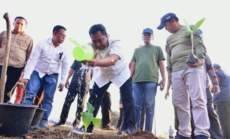Budidaya Pisang di Lahan 1 Juta Hektare, Pj Gubernur Sulsel Undang Presiden Jokowi Panen di Bulan Maret 2024