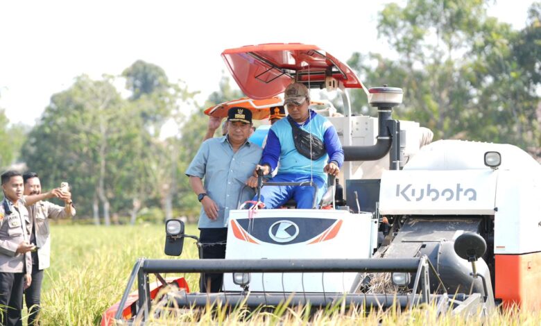 Panen Raya di Gowa, Sulsel Sukses Tangani Dampak El Nino
