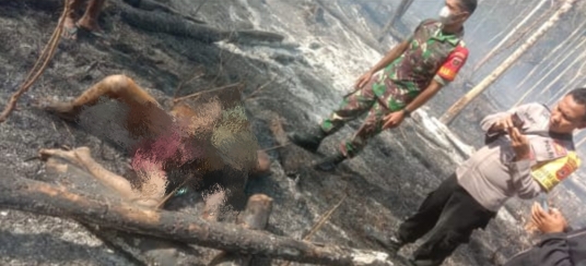 Arifuddin Warga Bone Tewas Terbakar di Kebun dengan Luka Bakar di Sekujur Tubuh