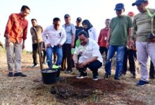 Budidaya Pisang di Lahan 1 Juta Hektare, Pj Gubernur Sulsel Undang Swasta Berinvestasi