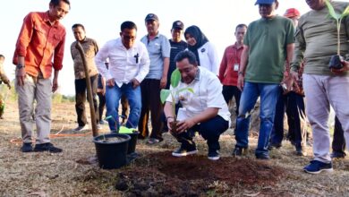 Budidaya Pisang di Lahan 1 Juta Hektare, Pj Gubernur Sulsel Undang Swasta Berinvestasi