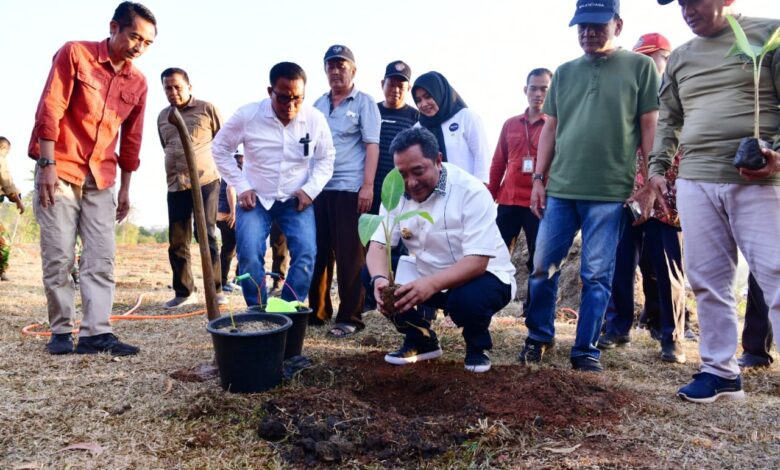 Budidaya Pisang di Lahan 1 Juta Hektare, Pj Gubernur Sulsel Undang Swasta Berinvestasi