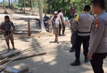Polisi dan TNI Bakar Arena Judi Sabung Ayam di Bone