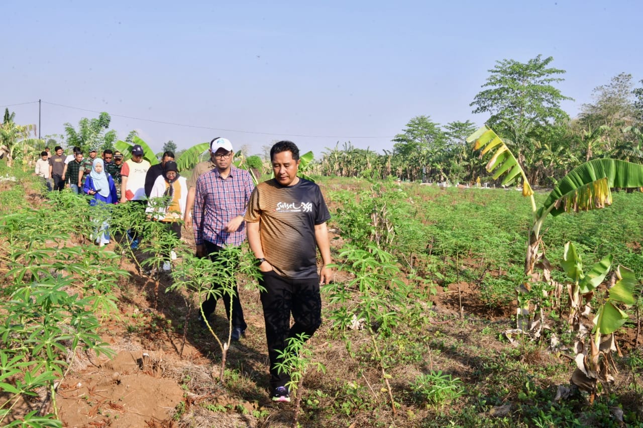Pj Gubernur Tinjau 23 Hektar Lahan Percontohan Budidaya Pisang dan Nanas di Pattallasang Gowa