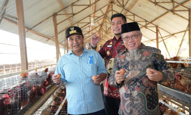 Di Sela HUT Ke-354 Sulsel, Pj Gubernur Bahtiar Kunjungi Peternakan Ayam dan Kambing di Gowa