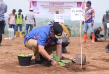 Pj Gubernur Sulsel Tanam Pisang di Lahan 20 Hektare di Sinjai