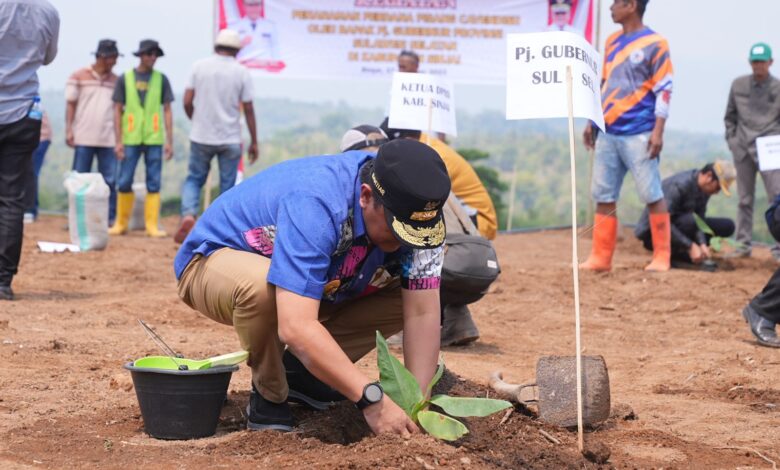 Pj Gubernur Sulsel Tanam Pisang di Lahan 20 Hektare di Sinjai