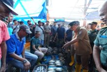 Cek Harga Ikan, Pj Gubernur Bahtiar Tinjau TPID Paotere Makassar