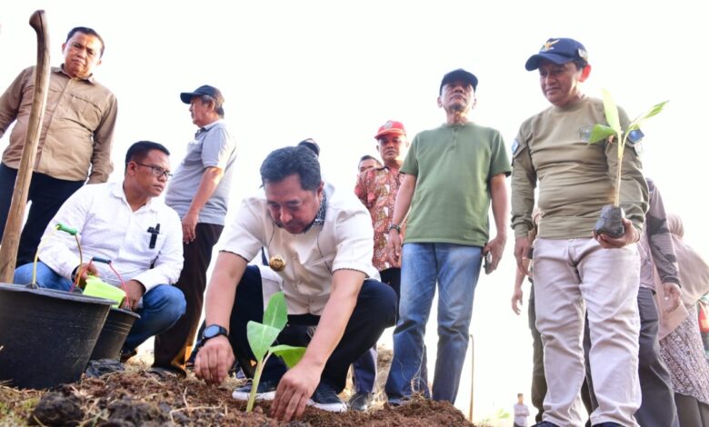 Budidaya Pisang, Pj Gubernur Bahtiar Tanam Perdana di Mare