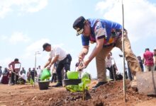 Tanam Pisang di Sinjai, Pj Gubernur Bahtiar: Rupanya Bupati Bulukumba Jadi Investor di Sinjai