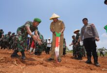 Siapkan Lahan, Pangdam XIV Hasanuddin Support Program Budidaya Pisang Pemprov Sulsel