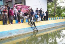 Program Ketahanan Pangan, Pj Gubernur Sulsel Tebar 21.000 Benih Ikan di Kolam Desa Wollangi