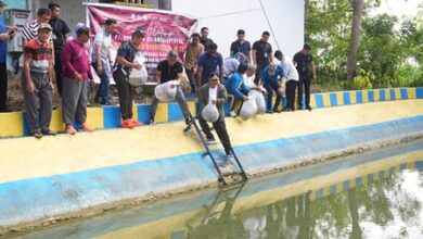 Program Ketahanan Pangan, Pj Gubernur Sulsel Tebar 21.000 Benih Ikan di Kolam Desa Wollangi