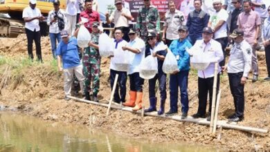 Tingkatkan Ketahanan Pangan, 50000 Benih Nila Dilepas di Embung Kecamatan Mare