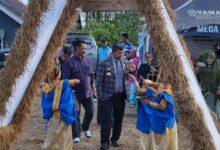 Kolaborasi Pemdes dan Sanggar Seni, Bupati Andi Utta Buka Festival Sawah II