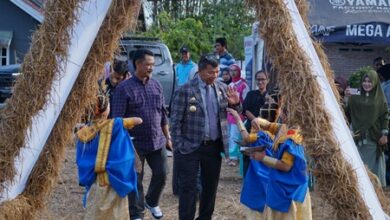 Kolaborasi Pemdes dan Sanggar Seni, Bupati Andi Utta Buka Festival Sawah II