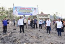 Pemkab Sidrap Siapkan 1.500 Hektare Lahan untuk Budidaya Pisang