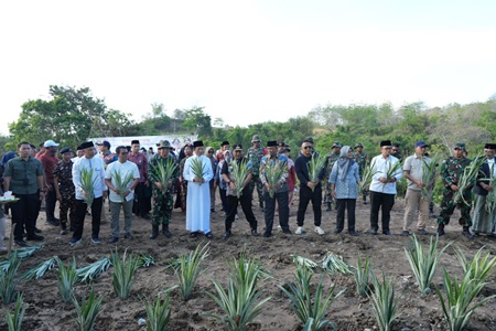 Pesantren As'adiayah Sengkang Siapkan Lahan 100 Hektare untuk Pertanian dan Peternakan, Dukung Program Ketahanan Pangan Sulsel