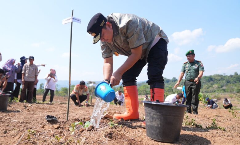 Pj Gubernur Bahtiar Ajarkan Para Petani Enrekang Cara Kembangkan Bibit Pisang