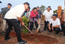 Penanaman Bibit Nangka Madu di Bulukumba, Pj Gubernur Bahtiar: Jangan Biarkan Lahan Kosong