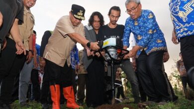 Pemkab Gowa Sediakan Lahan 3.600 Hektare untuk Budidaya Pisang Cavendish