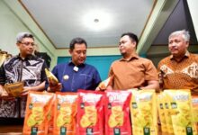 Siapkan Pelatihan, Pemprov Sulsel Dorong Lahirnya Produk Inovatif Berbahan Dasar Pisang