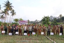 Produksi Bawang Merah Berkurang Karena El Nino, Pemprov Sulsel Bakal Bantu Sumur Bor untuk Petani Enrekang