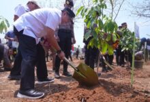 Penanaman 10 Juta Pohon, Menko PMK Muhadjir Effendy Terima Kasih ke Pj Gubernur Bahtiar