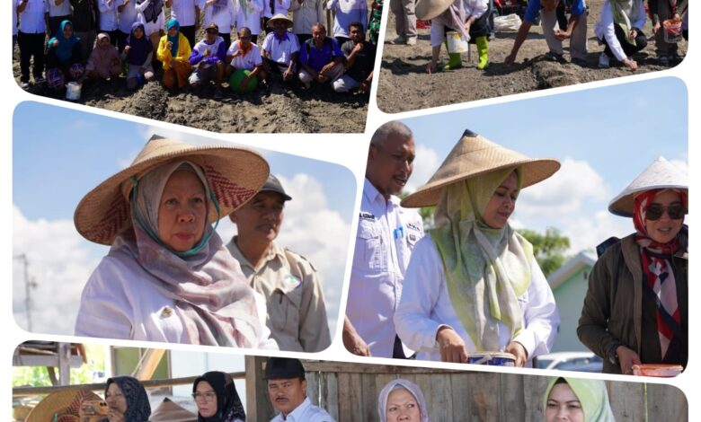 Gerakan Tanam Bawang Merah, Wawali Palu Mulai di Kayumalue Ngapa