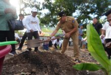 Sejalan Program Pesantren, Pimpinan Ponpes DDI Mangkoso Dukung Budidaya Pisang Cavendish