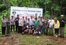 Jaga Kelestarian Kawasan Geopark, 10 Ribu Pohon Sukun Bakal Ditanam di Rammang-rammang